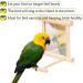 Fainfun Bird Mirror with Perch - 10x10 cm Budgie Toy Wooden Bird Stand with Mirror for Parrots Pigeons & Canaries - Buy Online on GoSupps.com