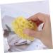 Beavorty 1pc Bath Sponge Sponge for Bathing Mesh Balls Sponge Sponges for Bathing Bath Sponges for Shower Seaweed Sponge Honeycomb Bath Ball Algae Sponge Body Sponge - Buy Online on GoSupps.com