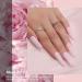 Aokitec 28g Dip Powder Thin Pink Thin Pink Color Nail Dipping Powder French Powder Pro Collection System Nail Art Starter Manicure Salon DIY at Home Odor-Free&Long-Lasting No Needed Nail - Buy Online on GoSupps.com