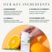 InstaNatural Vitamin C Night Cream 1.7 oz - Brightening & Hydrating Anti-Aging Skincare - Buy Online on GoSupps.com