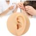 Silicone Ear Model for Earrings | Ear Acupuncture & Jewelry Display | Perfect for Training & Teaching - Buy Online on GoSupps.com