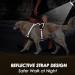 Eyin Adjustable Dog Harness for Small Dogs - Breathable Reflective Padded with Handle & Front Bracket - Perfect for Daily Training (Black Size S) - Buy Online on GoSupps.com