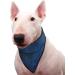 Aqua Coolkeeper Cooling Bandana for Dogs - 71-78 cm Pacific Blue | International Shipping Available - Buy Online on GoSupps.com