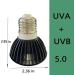 Qeeheng Turtle Heat Lamp - UVA & UVB Basking Light for Turtles Reptiles & Amphibians | Pet Heater Lamp 5.0 - Buy Online on GoSupps.com