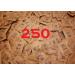 Brown Demerara Cane Sugar Sachets - 250 Individually Wrapped Pure Granulated Packs - Buy Online on GoSupps.com