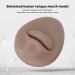 Soft Silicone Mouth Tongue Model for Beauty Salon - Simulated Human Lip Tongue Set for Piercing Practice & Display | Reusable Easy Clean Tools (Type C - Buy Online on GoSupps.com