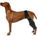 HSHGZSR Dog Knee Brace for Hind Leg Breathable Dog Leg Braces Comfortable Soft Dog ACL Brace Adjustable Pet Back Leg Support Brace for Supporting Dogs with Torn ACL Muscle Hind Leg Joint Discomfort Black L - Buy Online on GoSupps.com