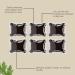 Perles de plantes Bioequis Perles de bain de pieds nettoyantes l'armoise naturelle Ingr dients naturels base de plantes Exp rience relaxante et apaisante pour hommes et femmes 2pcs - Buy Online on GoSupps.com