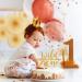 AmarYYa Wild One Cake Topper - Gold Glitter Boy or Girl 1st Birthday/Baby Shower Cake Decoration Gold Glitter Baby ONE With Arrow Birthday Cake Topper First Smash Cake Decoration Wildone-a - Buy Online on GoSupps.com