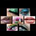 Healvian 36 Boxes Pearl Eyeshadow Palette Eyeshadow Powder Kit Glitter Eyeshadow Powder Eye Shadow Powder - Buy Online on GoSupps.com
