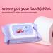 Violet Vibes Moisturizing Flushable Bathroom Wet Wipes for Women - Aloe Coconut Rose - 80 ct Pack - Buy Online on GoSupps.com