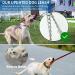 Etechydra Dog Retractable Leash 5m/16ft Gray - Heavy Duty Nylon Tape Leash with Anti-Bite Steel Chain for Medium Large Dogs - Buy Online on GoSupps.com
