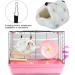 Sheens Winter Warm Tent Type Hamster Hammock Hanging Bed Colorful Habitats Nest House for Gerbils Chinchillas Squirrel Guinea Pigs Small Animals 14 * 12-Blue 14*12 Blue - Buy Online on GoSupps.com
