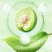 crisp green plum Green plum plums sweet and sour crisp and refreshing plum sour plum candied fruit dried fruit7.05oz/200g - Buy Online on GoSupps.com