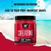 BSN DNA Creatine Monohydrate Powder 216g - Sports Nutrition Supplement for Performance - Unflavoured - Buy Online on GoSupps.com