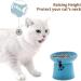 TAMAYKIM 8oz Tilted Ceramic Raised Cat Bowls Set - Blue & Grey | Porcelain Elevated Feeding Dish for Kitty | Stress-Free, Dishwasher & Microwave Safe | 2-Pack - Buy Online on GoSupps.com