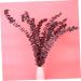 Cabilock Dried Eucalyptus Stems 10pcs Christmas Flower Arrangement Real Eucalyptus Leaves As Shown Size 3 - Buy Online on GoSupps.com