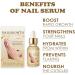 NailGrowth DeepHealing Organic Serum NailGrowth Nail Serum Reconstrux Nail Growth Nail Growth and Strengthening Serum Nail Serum for Growth and Repair for Damaged Nails (3pcs) - Buy Online on GoSupps.com