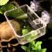NN 1 Pcs Reptile Food Dish Reptile Anti-escape Bowls Transparent Suction Cups Reptile Feeding Pools Amphibians Feeder Bowls for Reptile Geckos Snakes - Buy Online on GoSupps.com