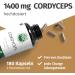 Cordyceps Sinensis 180 Capsules - High Dose 1400mg | 10:1 Extract | Vegan | Green Naturals  - Buy Online on GoSupps.com