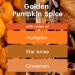 Glade Scented Candle Golden Pumpkin & Spice Limited Edition 3-Wick Candle Air Freshener Infused with Essential Oils for Home Fragrance 1 Count - Buy Online on GoSupps.com