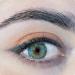 ADORE - Colored contact lenses with graded BC 8.6 mm dia 14.0 mm |+1.75 Dioptria |Trimestral |90 days (green/pearl l) +1.75 dioptria