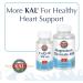 KAL Blood Sugar Defense - 60 Tablets | Promotes Healthy Blood Sugar Levels - Buy Online on GoSupps.com