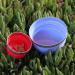 Hydaway Collapsible Bowl Set | 2-Pack | Ember Red - Buy Online on GoSupps.com
