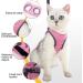Lianzimau Adjustable Soft Cat Dishes & Ultra-Light Running Vest for Kittens - Escape Protection Padded Pink (1 Pack) - Buy Online on GoSupps.com