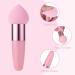 Sibba 3-Piece Makeup Powder Puff Set - Reusable Wet & Dry Face Sponges with Handle for Loose Powder Foundation Rouge & Cream - Pink Makeup Applicator Tools - Buy Online on GoSupps.com