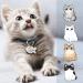 Cat brand with engraving stainless steel 10 cats selectable name and telephone number personalized decoration on the cat collar indoor only cat cat-6