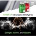 SW Creatine Gummies - Apple Flavour - 3000mg Creatine Monohydrate - Muscle Growth & Recovery - Vitamin C - Pre Workout Supplement - Gluten Free & Vegan - Buy Online on GoSupps.com