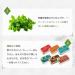 Barkleys Mini Mints - Sugarfree Peppermint Pastilles (12x15g) | Refreshing Spicy Mint Flavor - International Shipping Available - Buy Online on GoSupps.com