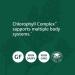 Standard Process Chlorophyll Complex - Immune Support Antioxidant Skin & Hair Health - 240 Softgels - International Shipping Available - Buy Online on GoSupps.com