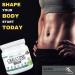 KAPPA NUTRITION Creatine Monohydrate Micronized 2.5g - 240 Servings | Premium Quality Creatine for Maximum Performance | International Shipping Available - Buy Online on GoSupps.com