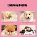 Smandy Dog Door Bell - Training Bells for Pets | Pink Dog Communication & Cleanliness Training - Buy Online on GoSupps.com