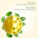 100 Count HANDPICK Non-GMO Peppermint Tea Bags - Pure Herbal Tea with Minty Fresh Flavor | Eco-friendly Packaging - Buy Online on GoSupps.com