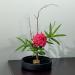 Gdstiac 3pcs Flower Frog Round Flower Arranger Frog Flower Fixed Tools Japanese Flower Holder Flower Frogs for Arrangements (0.91 Inch  1.34 Inch  2.36 Inch) - Buy Online on GoSupps.com