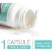 Biosil BioSil Liquid Capsules Vegan Collagen Generator Non-GMO 60 Capsules 60 Count (Pack of 1) - Buy Online on GoSupps.com