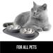 Gorilla Grip Slip Resistant Pet Bowl Set with Silicone Feeding Mat - Stainless Steel Cat and Dog Dish with Raised Edges for No Spills - 2 Cup Gray - Buy Online on GoSupps.com