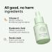 Gabit 20% Vitamin C Face Serum for Glowing Skin | Brightening Serum for Dark Spots Dull Skin Tanned Skin | Improves Wrinkles | Hyaluronic Ferulic CiCa Prebiotic Probiotic | Oil & PEG free |30 ml - Buy Online on GoSupps.com