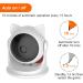 LIDLOK Automatic Cat Laser Toy | Interactive Toy for Indoor Cats & Kittens | Fast/Slow Modes | Adjustable Circling Ranges | USB Rechargeable | Auto On/Off - Buy Online on GoSupps.com