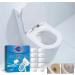 Toilet Tank Cleaner | Automatic Toilet Bowl Cleaner - Toilet Tablet for Cleaning Stains with Active Oxygen Purification for Bathroom and Various Cleaning Occasions Fanelod - Buy Online on GoSupps.com