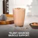 Bulk Vegan Protein Powder Chocolate Peanut 2.5kg - New & Improved Formula | 71 Servings - Buy Online on GoSupps.com