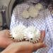 2 Pieces Dryer Balls Whit Plastic Hedgehog Reusable Laundry Ball Household Washing Machine Hedgehog Hedgehog-Shaped PVC Laundry Cleaning Balls for Washing Machine Home School - Buy Online on GoSupps.com