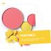 50pcs Eye Shadow Disk Eyeshadow Containers Empty Oil Paint Empty Eyeshadow Pan Eyeshadow Empty Tray - Buy Online on GoSupps.com