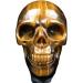 Natural Crystal Rough Natural Magic Natural Tiger Eye Stone Hand-Carved Skull Natural Tiger Eye Stone Mine Carved Home Decorative Art Collection (Size : 1PC) - Buy Online on GoSupps.com