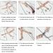EuTengHao 440Pcs Ribbon Bracelet Kit - Jewelry Findings Supplies with Ribbon Ends, Lobster Clasps, Jump Rings - Gold and Silver - Buy Online on GoSupps.com