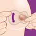 Buy Philips Avent Nipple Shield SCF153/03 - Standard 21mm for Breastfeeding | International Shipping - Buy Online on GoSupps.com