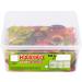 HARIBO Giant Dummies 60 Pieces 816 g - Buy Online on GoSupps.com